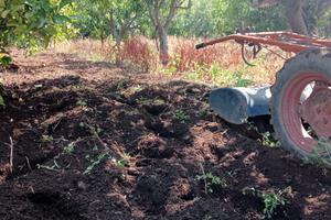 Terreno edificabile vicino Tropea