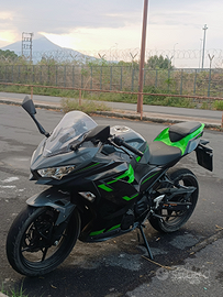 Kawasaki ninja