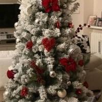 Albero di Natale innevato