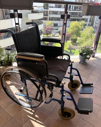Sedia a rotelle disabili