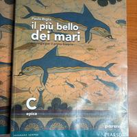 Libro il piu bello dei mari C