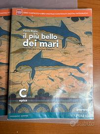 Libro il piu bello dei mari C