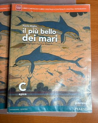 Libro il piu bello dei mari C