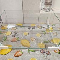 acquario/tartarughiera