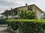 Immagine 7