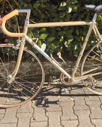 Bicicletta vintage Godio 