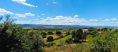 Terreno Agricolo a Berchidda