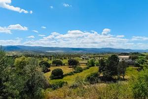 Terreno Agricolo a Berchidda