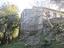 Immagine 28