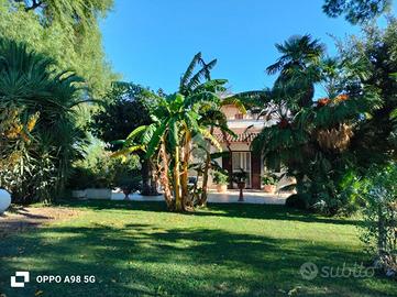 CASA INDIPENDENTE A CASTELLANETA