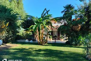 CASA INDIPENDENTE A CASTELLANETA