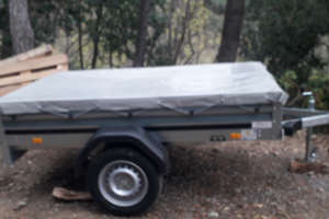 Carrello portata 750 kg