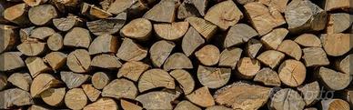 Legna da ardere stagionata