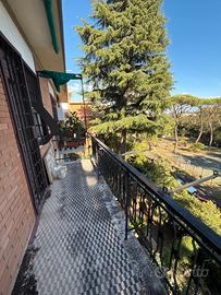 Via Francesco Vettori