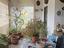 Immagine 9