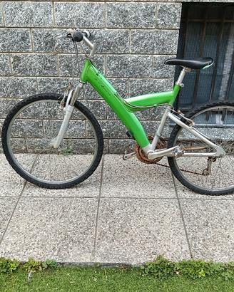 bicicletta 