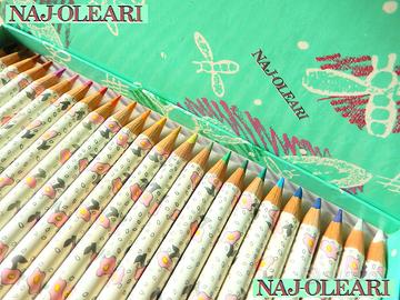 NAJ-OLEARI Vintage 80 Scatola 24 PASTELLI COLORATI