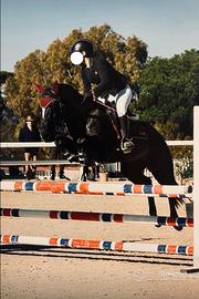 Pony da salto ostacoli