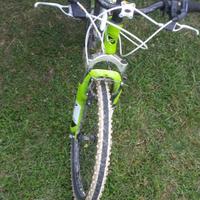 Bicicletta Ferrini Duke 24 ruota da 24