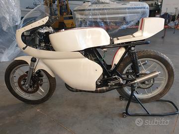 benelli 250 2c competizione