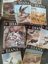 Riviste DIANA d'epoca (1960-1968) - 63 numeri
