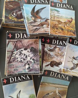 Riviste DIANA d'epoca (1960-1968) - 63 numeri