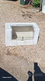 box trasporto cane