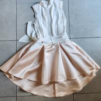 Abito Elisabetta Franchi Passpartou Dress