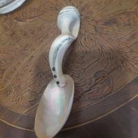 Antico cucchiaino da caviale