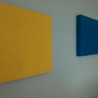 Pannelli fonoassorbenti Ananas e blu