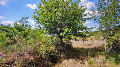 Terreno agricolo