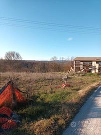 Proprietà rustica con terreno a Rapolano Terme