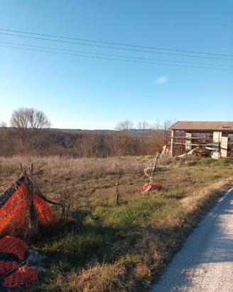 Proprietà rustica con terreno a Rapolano Terme
