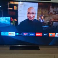 smart tv panasonic 55 polici