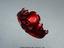 Immagine 18