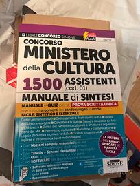 Manuale di sintesi Ministero della cultura