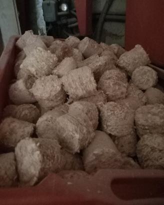 Tronchetto di segatura