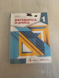 Matematica in pratica 1