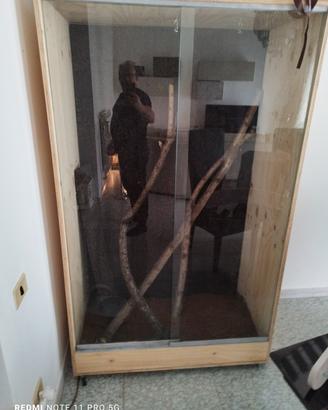 teca rettili xxl