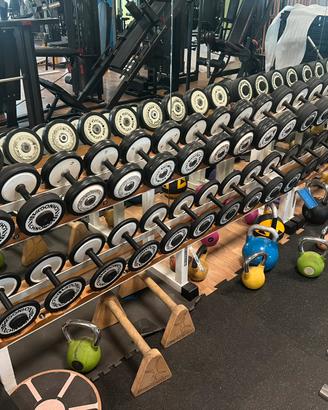 Manubri technogym