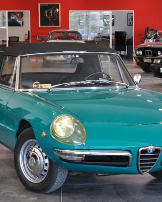 Alfa Romeo Spider 1300 Junior Duetto osso di seppi