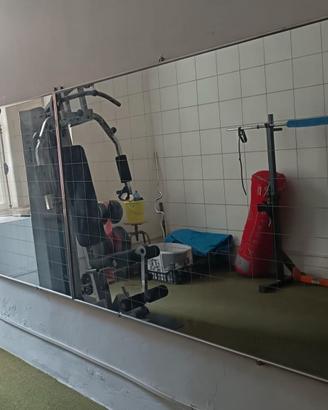 Due Specchi per palestra