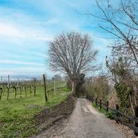 Villa singola Chiuduno [Cod. rif 3300151VRG]