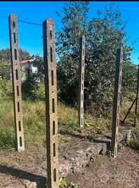 Regal Palo  per vigneto