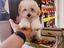 Immagine 18