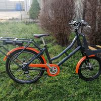 bici elettrica cargo 26/20 da postino Ditta Brezza