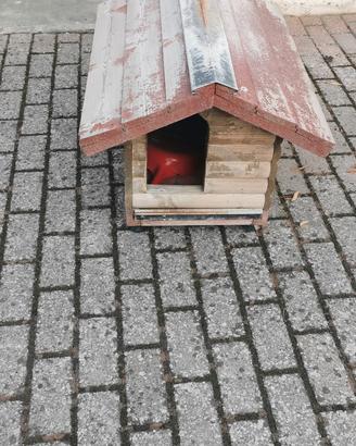 cuccia cane
