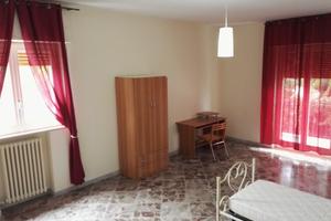 Stanza camera singola Giulio Petroni bari venere