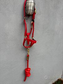 Capezza per cavallo Umbria