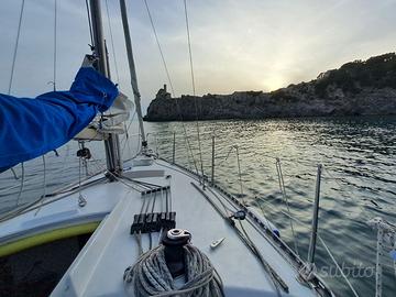 Barca a vela 7 metri natante autorizzata 12 miglia